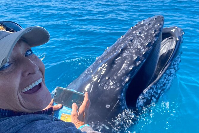 Noosa Ocean Adventures: Whale Watch - Why the Noosa Bar route changes the whole experience