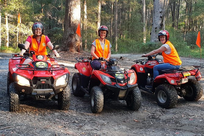 Noosa Quad Bike Tours - Should you book Noosa Quad Bike Tours?