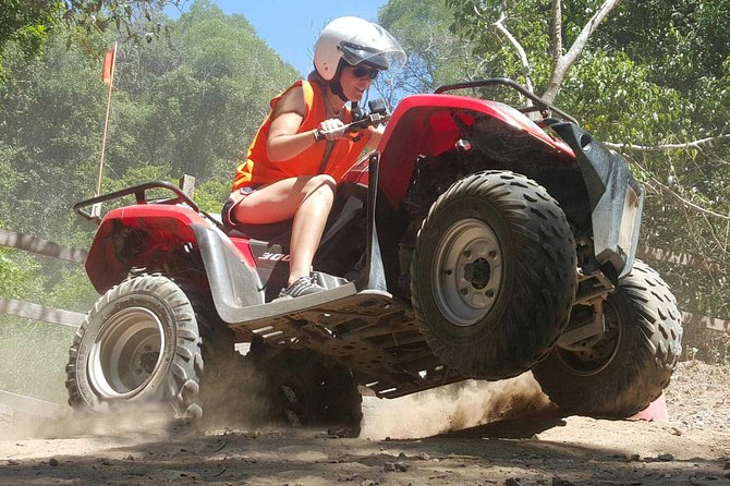 Noosa Quad Bike Tours - Price and value, including what to budget for park fees