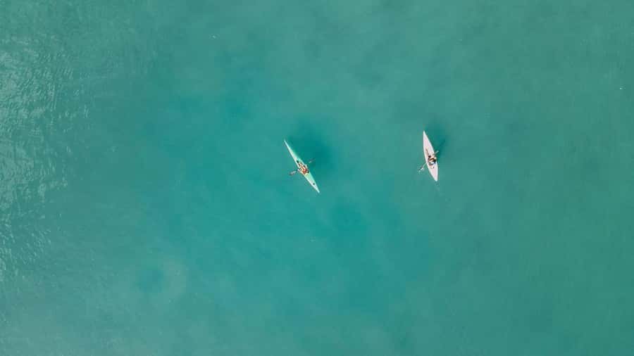 Noosa River: Mangroves and Mansions Guided Kayak Tour - The gentle paddle into mangroves near the Noosa River mouth