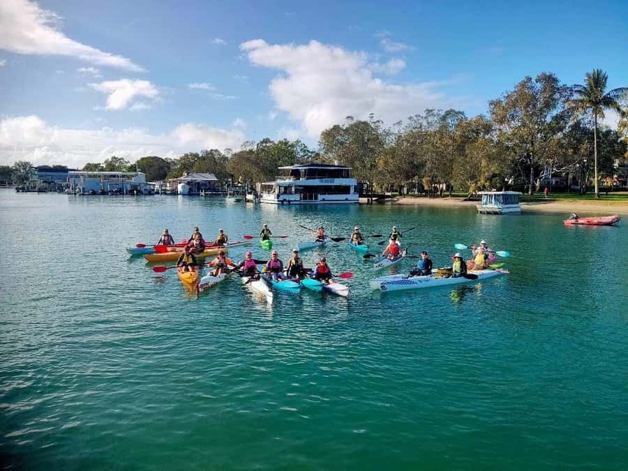 Noosa River: Mangroves and Mansions Guided Kayak Tour - Who should book this kayak tour, and who should skip it