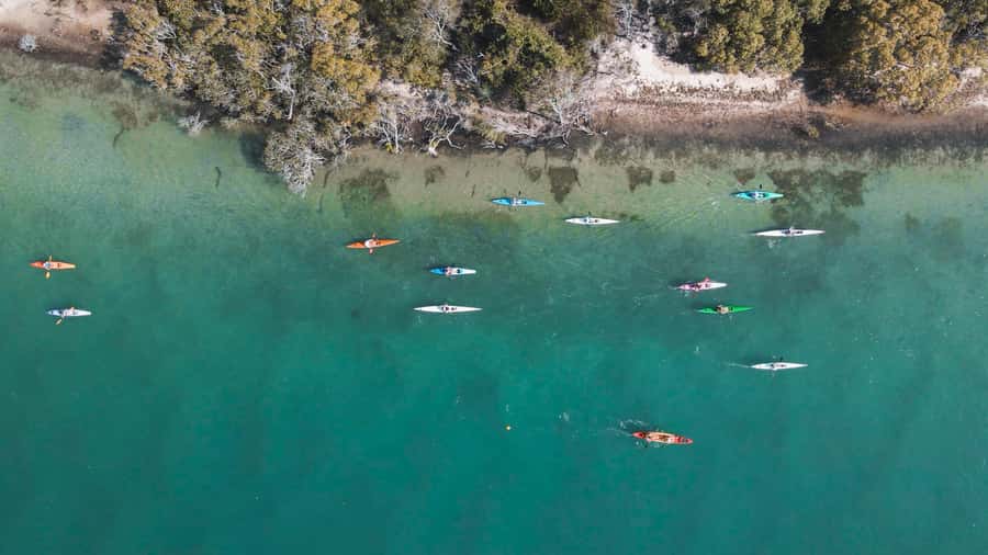 Noosa River: Mangroves and Mansions Guided Kayak Tour - Safety briefing first, then learn by doing (not just watching)