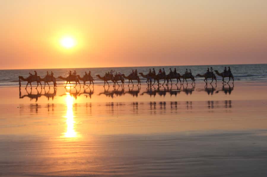 North of Rocks on Cable Beach: 1-Hour Sunset Camel Ride - Key Highlights You’ll Actually Care About