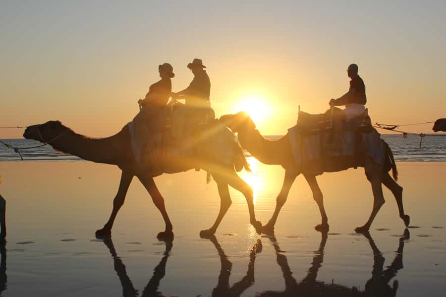 North of Rocks on Cable Beach: 1-Hour Sunset Camel Ride - Before You Mount: Alison Bird’s Safety Talk