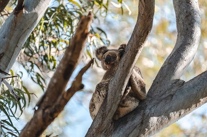 North Stradbroke Island Day Tour from Brisbane – Small Group - Key Highlights You Will Feel Right Away