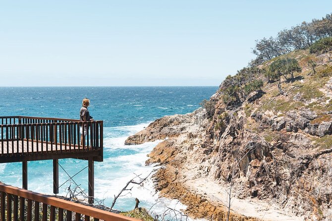North Stradbroke Island Day Tour from Brisbane – Small Group - Finding Koalas and Kangaroos in the Interior