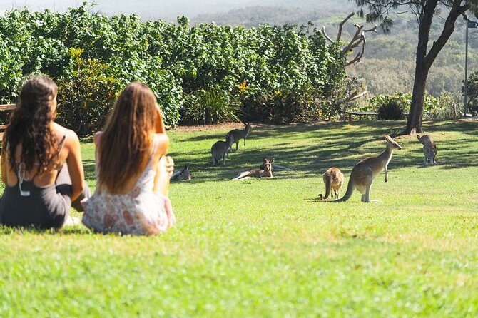 North Stradbroke Island Day Tour from Brisbane – Small Group - Swim Options: Freshwater Lakes and White-Sand Beach Moments