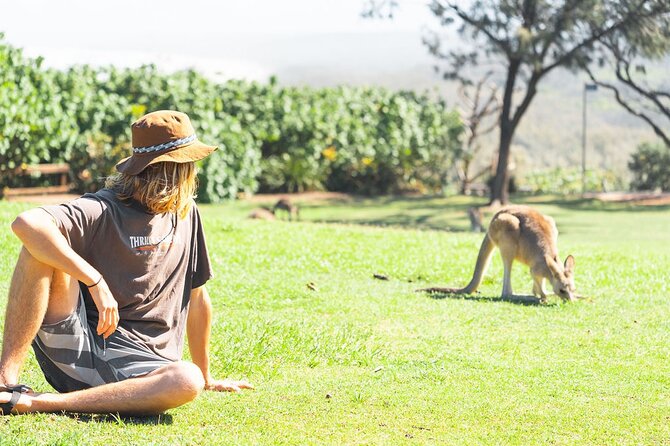 North Stradbroke Island Day Tour from Brisbane – Small Group - Myora Springs Conservation Area and the Freshwater Forest Pause