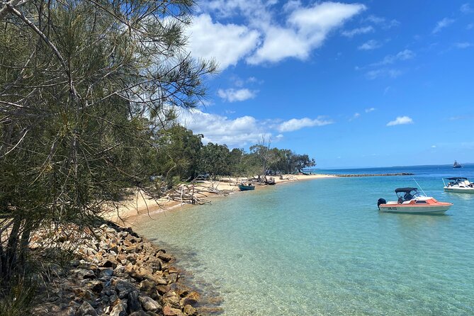 North Stradbroke Island WILDLIFE Adventure Tour from Brisbane - Key highlights you should know before you go