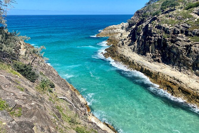 North Stradbroke Island WILDLIFE Adventure Tour from Brisbane - Guide quality and small-group energy, from Rio to Aggie