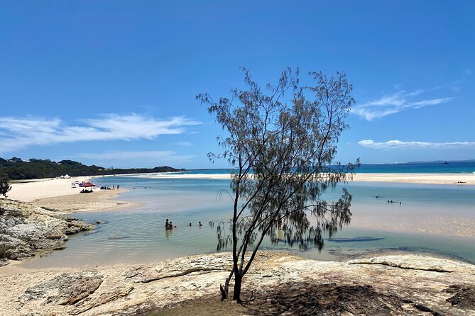 North Stradbroke Island WILDLIFE Adventure Tour from Brisbane - Cylinder Beach lookout: quick walking, big photo payoff