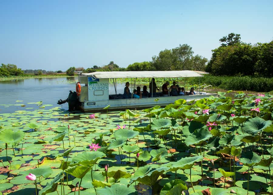 Northern Territory: Corroboree Billabong Nature Cruises - Boarding the open-air vessel: comfort, seating, and photo strategy