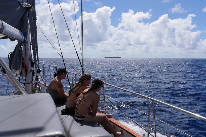 Ocean Free 25 guest Great Barrier Reef & visit Green Island Tour - The reef talk and fish feed: small add-ons, big payoff