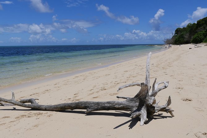 Ocean Free 25 guest Great Barrier Reef & visit Green Island Tour - Green Island National Park: a beach break with optional croc viewing