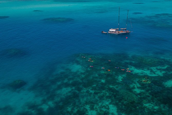 Ocean Free 25 guest Great Barrier Reef & visit Green Island Tour - The sailing to Green Island’s reef mooring: what to expect in transit