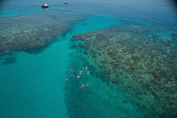 Ocean Freedom Great Barrier Reef Luxury Snorkel and Dive Cruise - Key highlights to know before you go