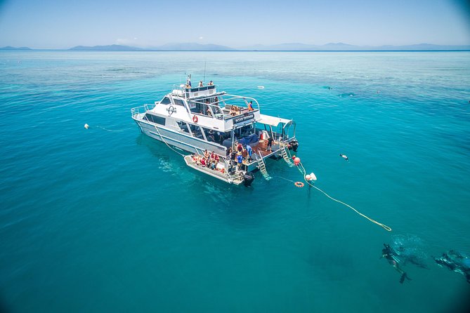 Ocean Freedom Great Barrier Reef Luxury Snorkel and Dive Cruise - Boarding in Cairns: pastries first, reef second