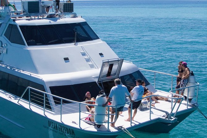 Ocean Freedom Great Barrier Reef Luxury Snorkel and Dive Cruise - Food on board: a buffet lunch plus constant snack flow