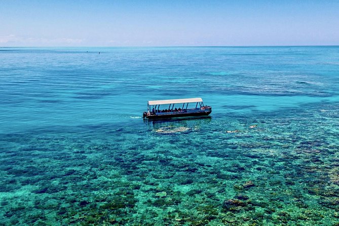 Ocean Freedom Great Barrier Reef Luxury Snorkel and Dive Cruise - Optional scuba sessions: great add-on, but only with the right medical check
