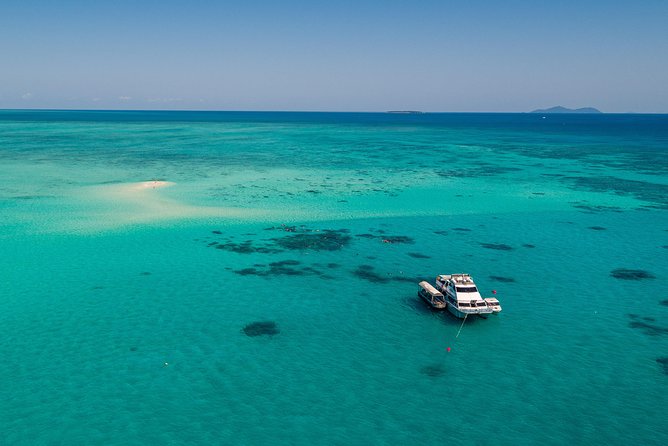 Ocean Freedom Great Barrier Reef Luxury Snorkel and Dive Cruise - Staying safe and comfortable in the water