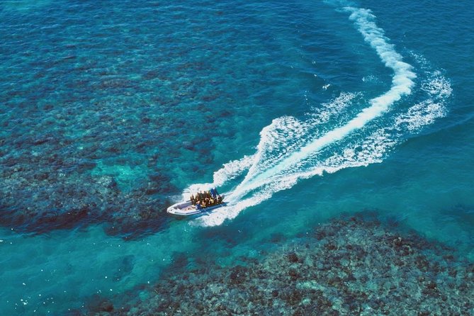 Ocean Freedom Great Barrier Reef Luxury Snorkel and Dive Cruise - When visibility is less than perfect, do not panic