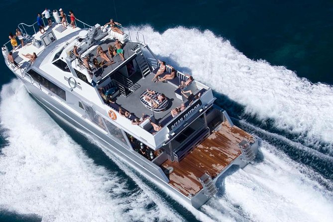 Ocean Freedom Great Barrier Reef Luxury Snorkel and Dive Cruise - Cruising to the reef: fast catamaran, real timing
