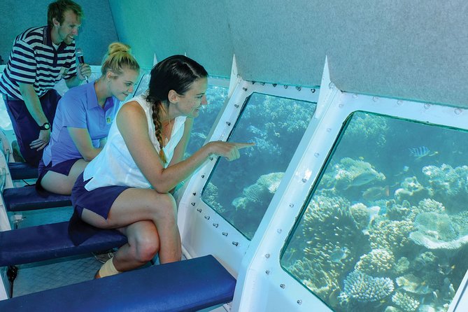 Ocean Spirit Sail to Michaelmas Cay Snorkel or Dive, from Cairns - Semi-submersible time: comfort, coral views, and one real risk