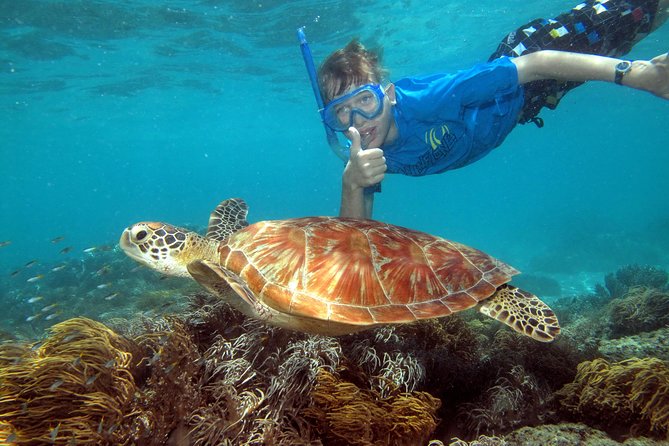 Ocean Spirit Sail to Michaelmas Cay Snorkel or Dive, from Cairns - On-board reef brief and the arrival routine at the cay