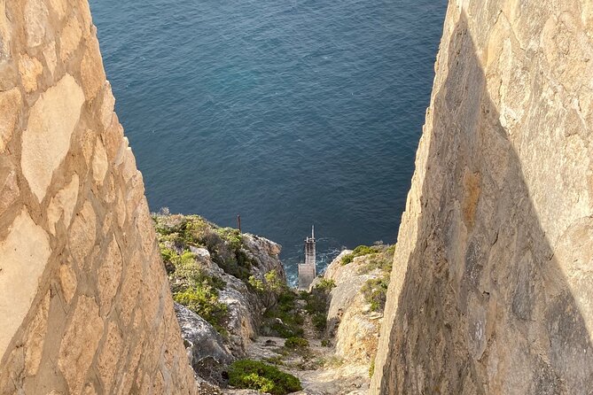 One Day Kangaroo Island Highlights Tour - Key things I’d watch for on this Kangaroo Island tour