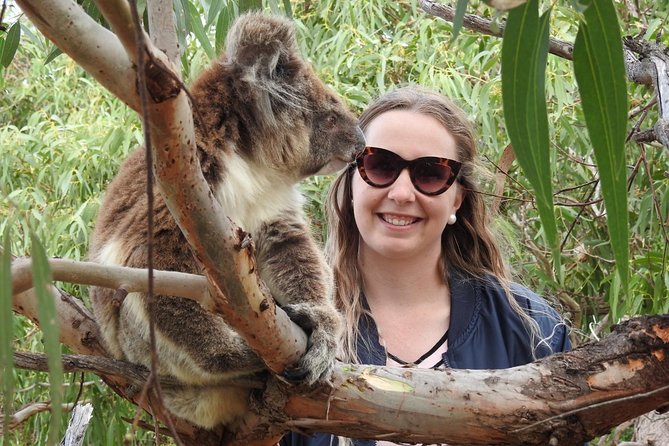 One Day Port Lincoln Tour - Tasting Eyre - Whalers Way coast views plus a seafood lunch, all in one circuit