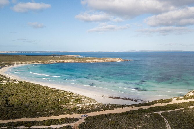 One Day Port Lincoln Tour - Tasting Eyre - Price and value: is $142.73 a good deal for a full day?