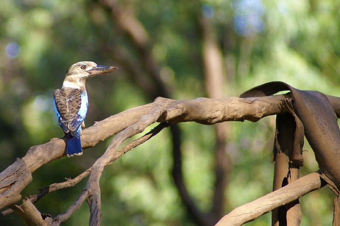 Ord River Cruise Experience with Riverside Lunch - Price and value: is $184.33 per person a fair deal?