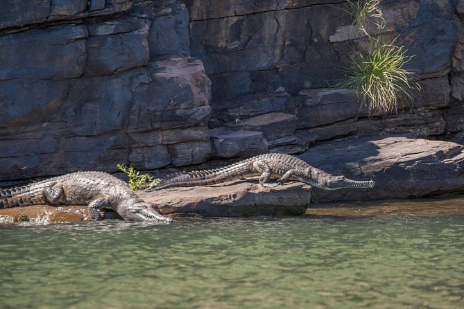 Ord River Discoverer Cruise with Sunset - Afternoon tea onboard, plus the sunset payoff on the return