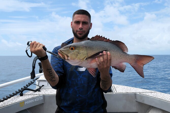 Out n About Sportfishing for Share and Private Charters on Reef and Estuary - Price and Value for a 4-Hour Half-Day Charter