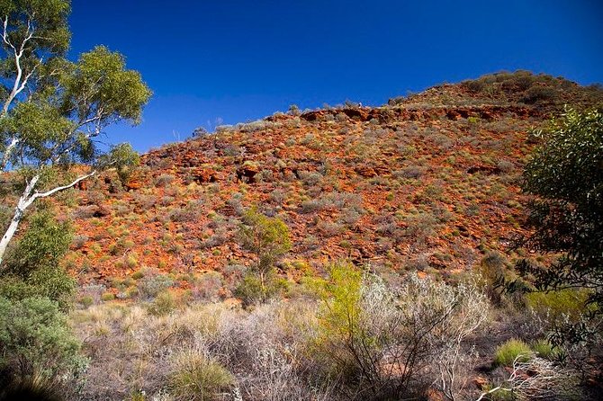 Palm Valley 4WD Tour from Alice Springs - Getting going at 7:15am: pickup, air-conditioned comfort, and early outback rhythm