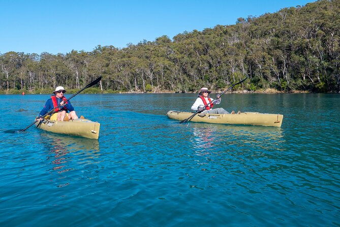Pambula River Kayaking Tour - What 3 Hours Feels Like on the Water