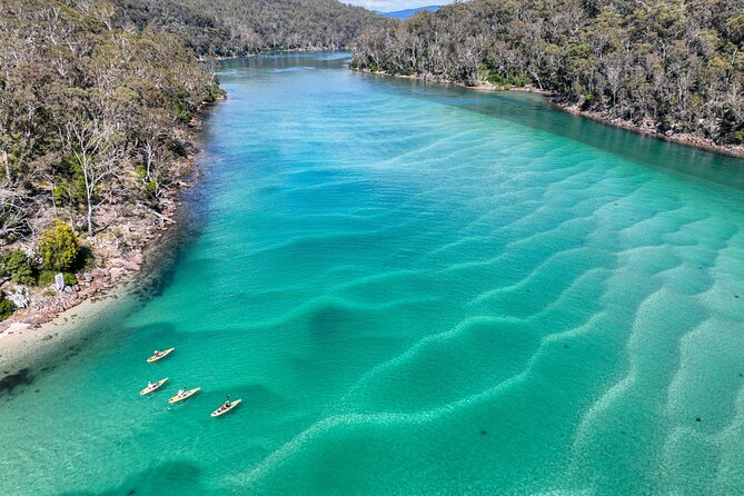 Pambula River Kayaking Tour - Practical Tips Before You Go