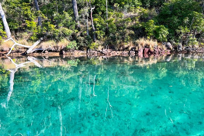 Pambula River Kayaking Tour - Should You Book Pambula River Kayaking?
