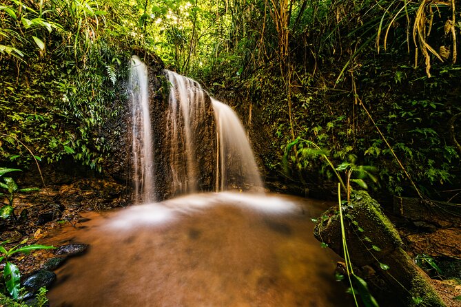 Paronella Park Admission Ticket - Your day plan: combining guided tours with self-guided wandering