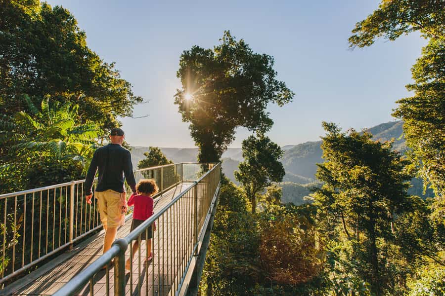 Paronella Park and Mamu Tropical Skywalk Ticket Combo - Mamu Tropical Skywalk: walk in the clouds, listen in 8 languages
