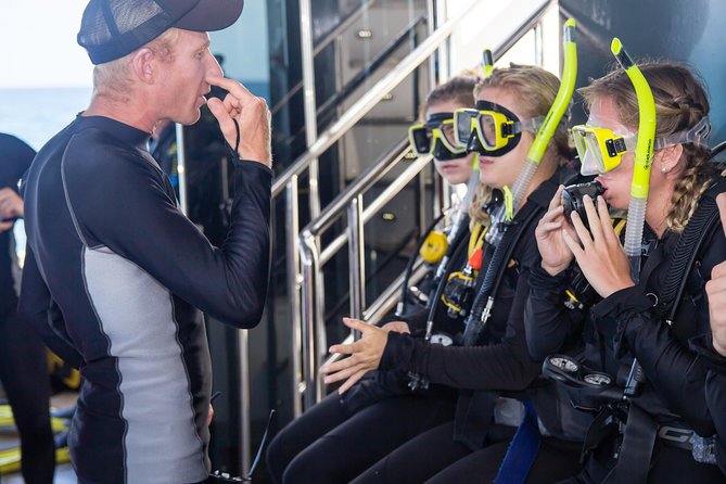 Passions of Paradise Great Barrier Reef Cruise by Catamaran - What you can realistically see underwater