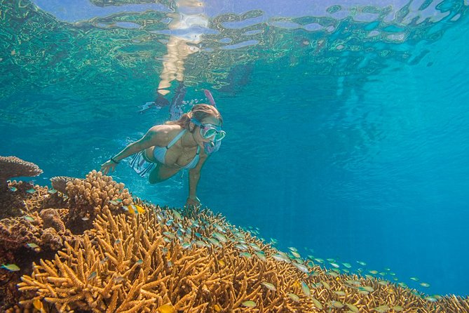 Passions of Paradise Great Barrier Reef Cruise by Catamaran - Weather, motion, and comfort tricks that actually help