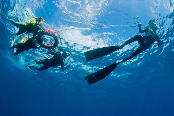 Passions of Paradise Great Barrier Reef Cruise by Catamaran - Price and value, what you are really paying for