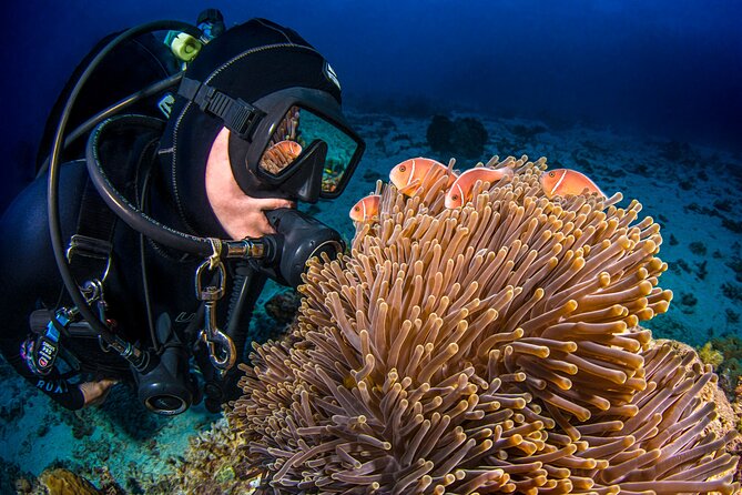 Passions of Paradise Great Barrier Reef Cruise by Catamaran - Who this tour fits best