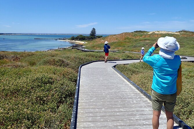 Penguin and Seal Islands Sea Kayaking Experience - Key things I’d circle before you book