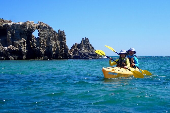 Penguin and Seal Islands Sea Kayaking Experience - The 8:00 am Start: Gear, Focus, and Getting Set Up Right