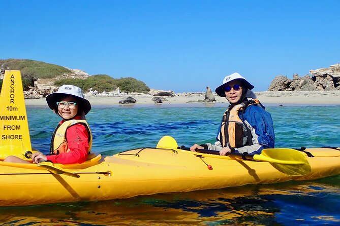 Penguin and Seal Islands Sea Kayaking Experience - Seal Island Kayak Leg: Sea Lions, Pelicans, and the Quiet Bays