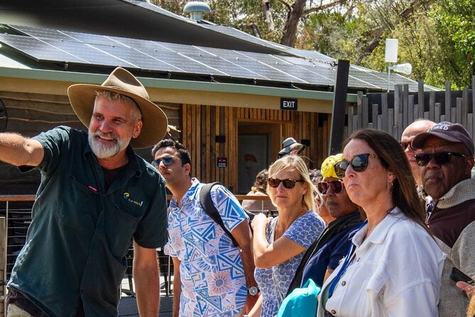 Penguin Parade, & Wildlife Encounters Eco Tour from Melbourne - Cape Woolamai and Cowes are seasonal, but they add real rhythm