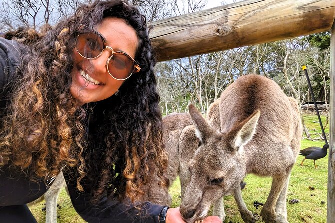 Penguin Parade, & Wildlife Encounters Eco Tour from Melbourne - The 12-hour rhythm: managing a long day without missing the best part