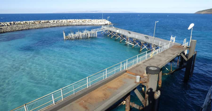 Penneshaw: Shore Excursion Kangaroo Island Scenic Tour - Admirals Arch: the seal-viewing moment that sells the day